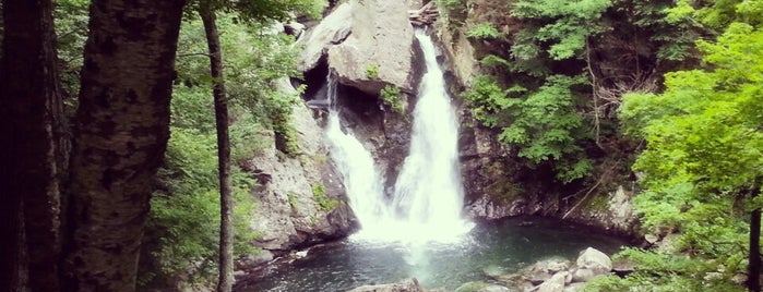 Bash Bish Falls is one of Hiking.