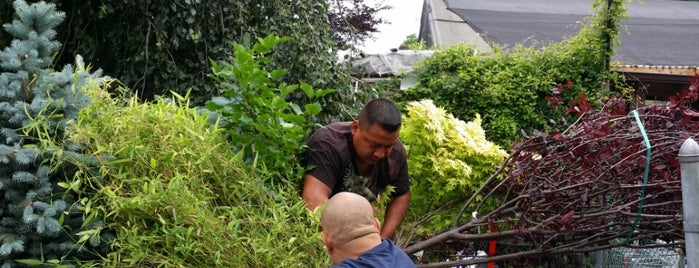 Michael's Garden Gate Nursery is one of Orte, die Nate gefallen.