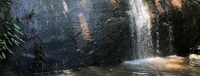 Cachoeira dos Primatas is one of Passeios.