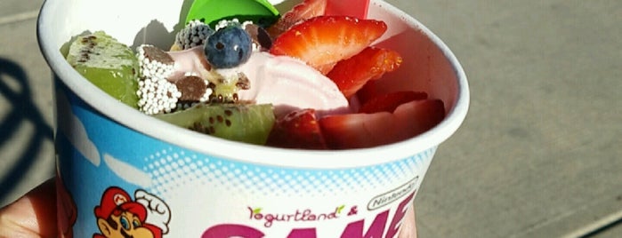 Yogurtland is one of Ithaca for ex-NYers.