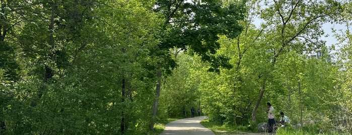 Mississauga Valley Park is one of Nature 🌳🌊.