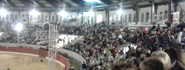 Plaza De Toros is one of Turismo, restaurantes y ocio en Villena.