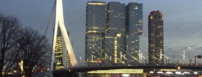 Erasmus Bridge is one of Rotterdam.