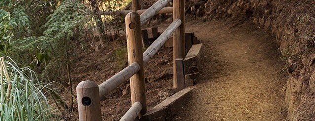 Franklin Canyon Park is one of LA.