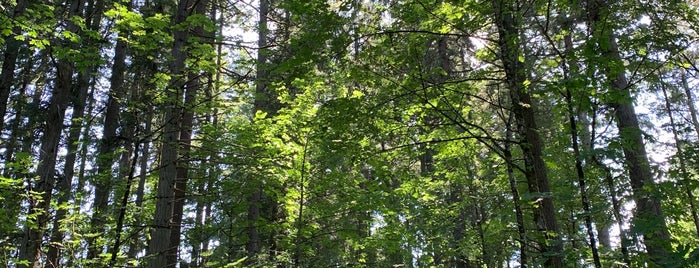 Scouters Mountain Nature Park is one of Tempat yang Disukai Jim.