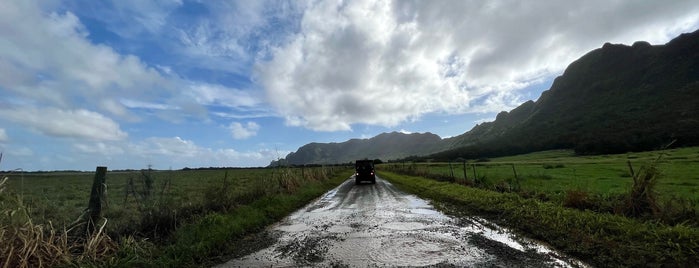Kipu Ranch is one of Kauai.