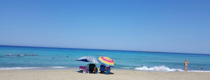 Falasarna Beach is one of สถานที่ที่ Tanja ถูกใจ.