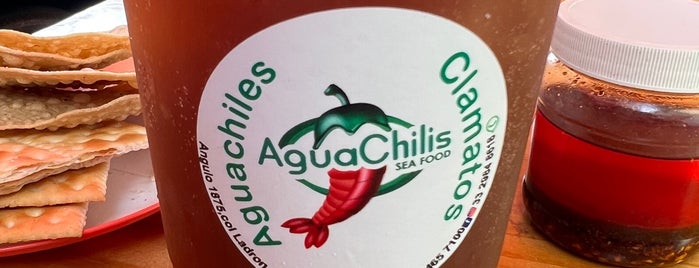 Aguachilis is one of Lugares Pendientes.