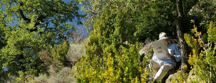 Serra de Bufadors is one of Pueblos y lugares.