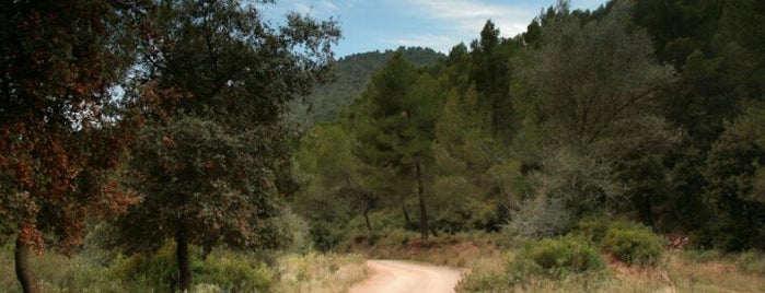 Serra de Collcardús is one of Espais naturals de Catalunya.