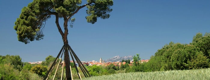 Parc Rural de la Torre Negra is one of Lugares favoritos de Alexandra.