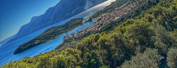 Stork is one of All-time favorites in Greece.