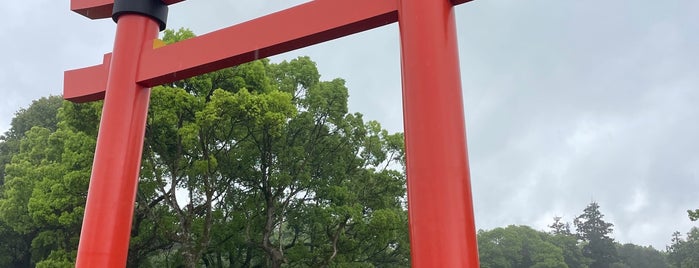 Usa Jingu Shrine is one of 行ったけどチェックインしていない場所.