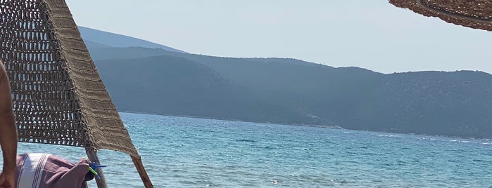 Noya Beach Experience is one of Samos.