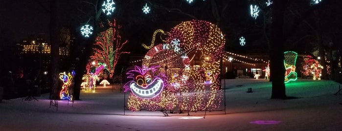 Zoo Lights is one of Chicago.