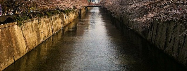 Nakameguro is one of Tokyo must sees.