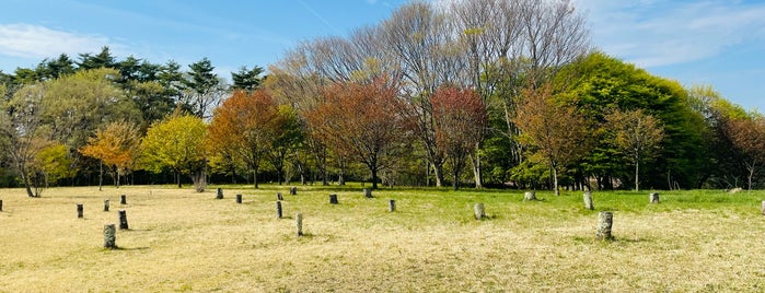 滝沢森林公園 is one of 【盛岡周辺】癒され空間.
