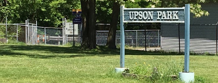 Upson Park is one of Historic Lockport New York.