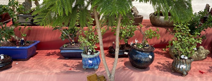 Bonsai Tree Stand is one of Erik'in Beğendiği Mekanlar.