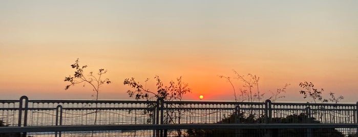 Seacliff Beach is one of SB/Sol.