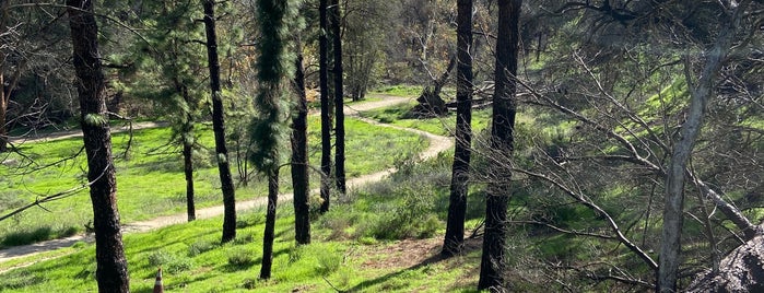 Limekiln Canyon Park is one of SFV Hiking Trails.