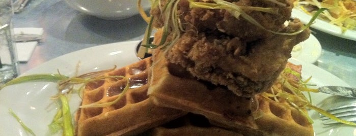 Hash House A Go Go Orlando Opens Tuesday April 16 Tasty Chomps