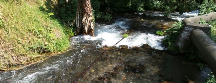 Manantiales De Chignautla is one of Lieux sauvegardés par Miguel Angel.