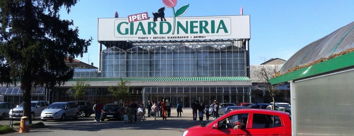 Iper Giardineria is one of Lugares favoritos de danny85.