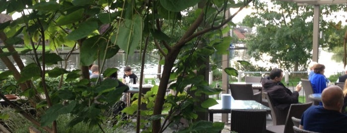 The Thames Court is one of Top 25 beer gardens in Surrey.