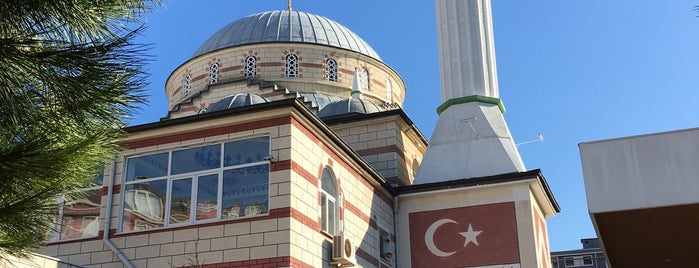 Mevlana Camii is one of Pendik 2.