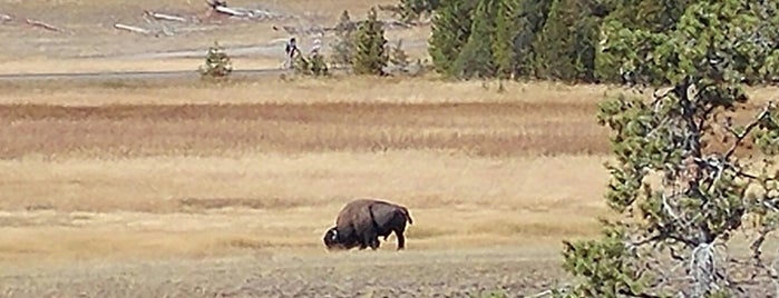 Old Faithful Lodge Cabins is one of Yellowstone + Grand Teton.