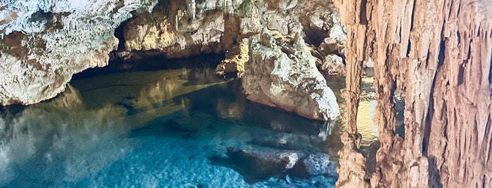 Neptune Cave is one of Orte, die Yuri gefallen.