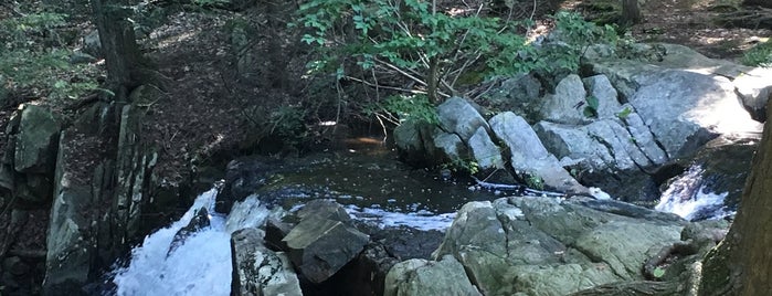 Waterfall in The Hemlocks - AT Waterfall is one of Hikes in Philipstown.