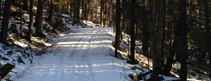 The Singing Bridge - Sunken Mine Road is one of ❤ Favorite Places ❤.