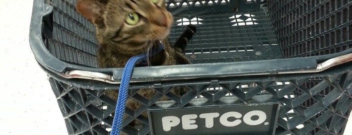 Petco is one of Kat'ın Beğendiği Mekanlar.