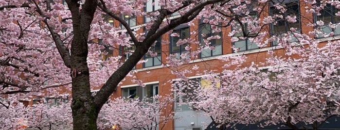 Brindleyplace is one of We <3 Birmingham.