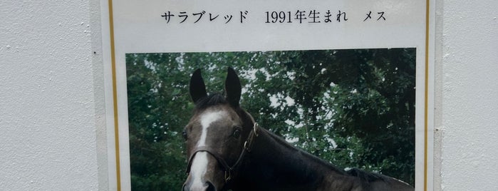 Northern Horse Park is one of Locais curtidos por ひざ.
