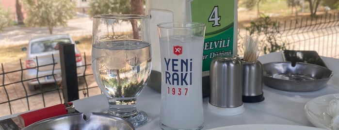 Selvili Kendin Pişir Restaurant is one of Mersin.