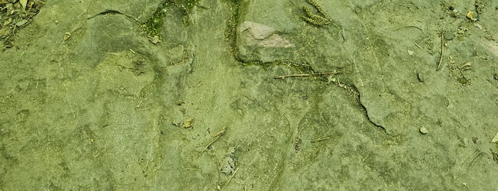 Dinosaur Footprints is one of UMASS.