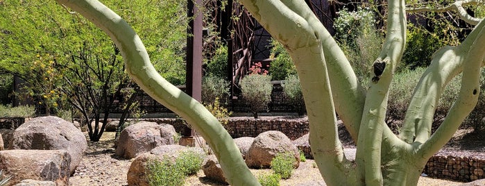 Scottsdale Xeriscape Garden is one of Phoenix.