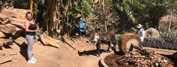 Mezcal Don Luis "Agua de Rancho" is one of สถานที่ที่ Mario ถูกใจ.