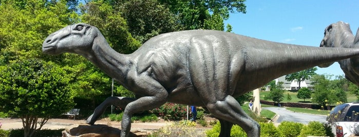 Fernbank Museum of Natural History is one of Summer Fun For The Family.
