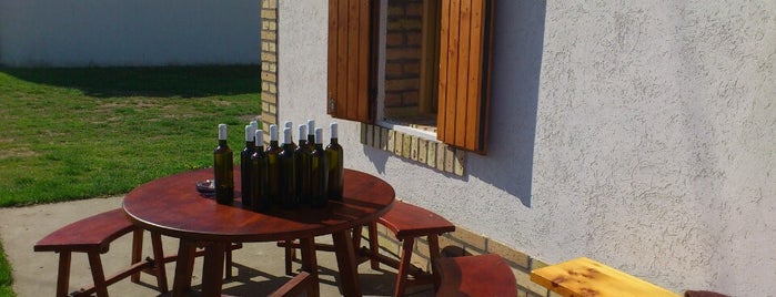 Klajó-Reiter Pince is one of Borászat / Winery.