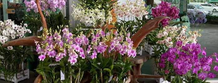 Mana Orchid is one of Bangkok.