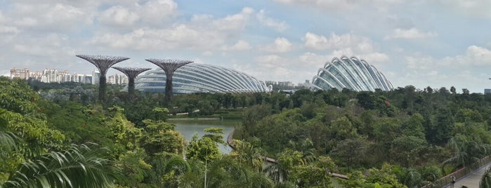 Supertree Grove is one of Emre'nin Kaydettiği Mekanlar.