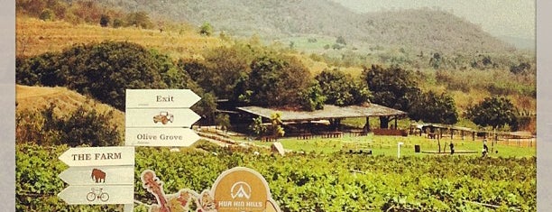 The Farm is one of ปราณบุรี.