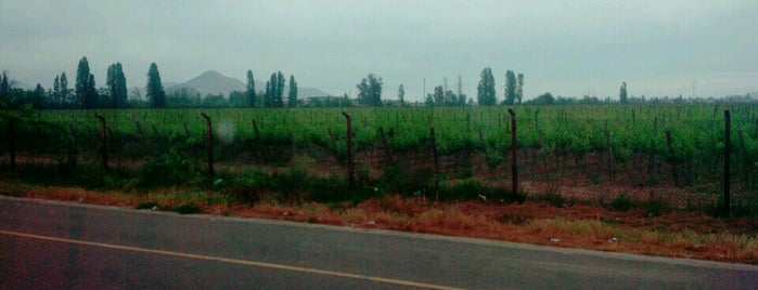 Autopista del Maipo is one of corregir.