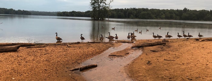 Loch Raven bridge is one of Oh Maryland!.