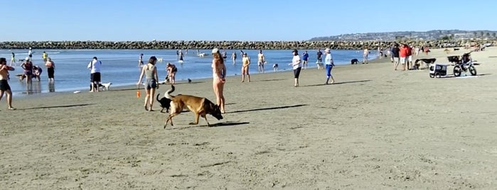 Ocean Beach Dog Beach is one of สถานที่ที่บันทึกไว้ของ Kristen.