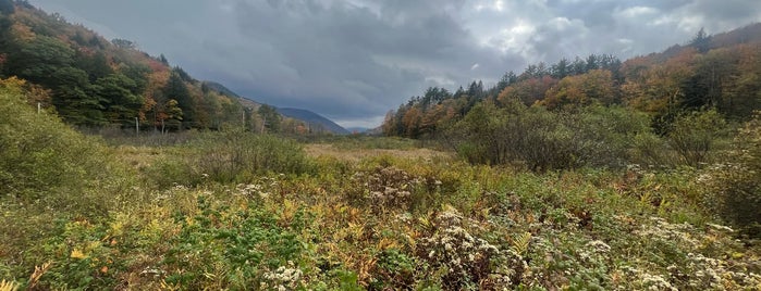 Thundering Falls is one of Vermont.